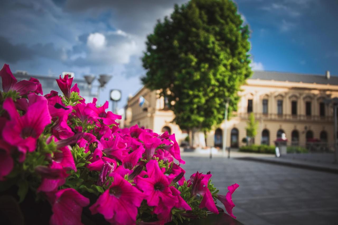 Vila Rosa Vukovar Esterno foto
